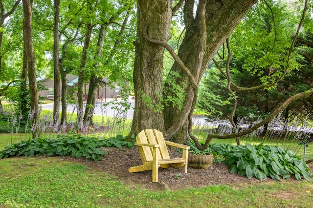 292 Burkhart Rd, Rutledge, TN 37861 - view of yard