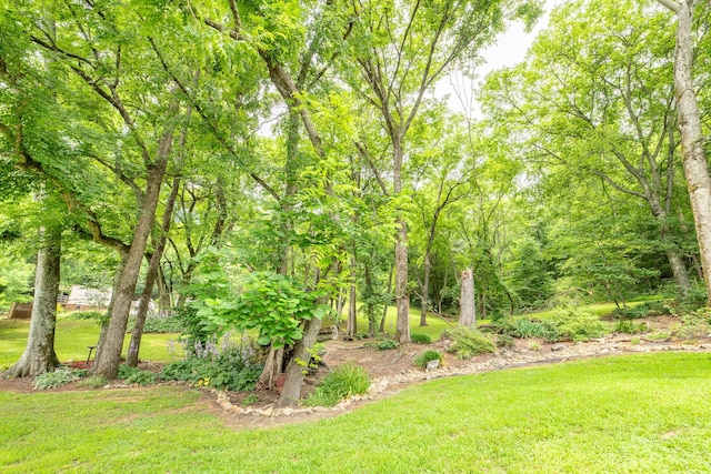 292 Burkhart Rd, Rutledge, TN 37861 - view of grassy yard