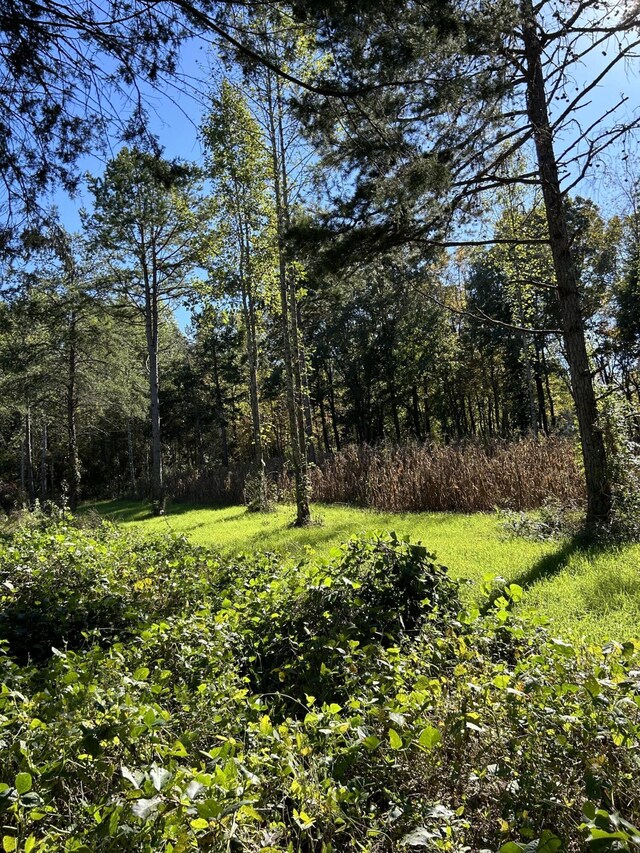 LOT17 Pleasant View Cemetary Rd, New Market, TN 37820 - photo 54