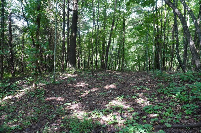 LOT17 Pleasant View Cemetary Rd, New Market, TN 37820 - photo 32