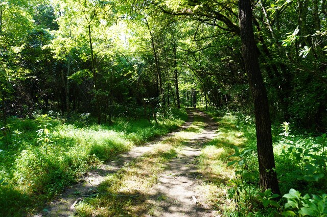 LOT17 Pleasant View Cemetary Rd, New Market, TN 37820 - photo 25