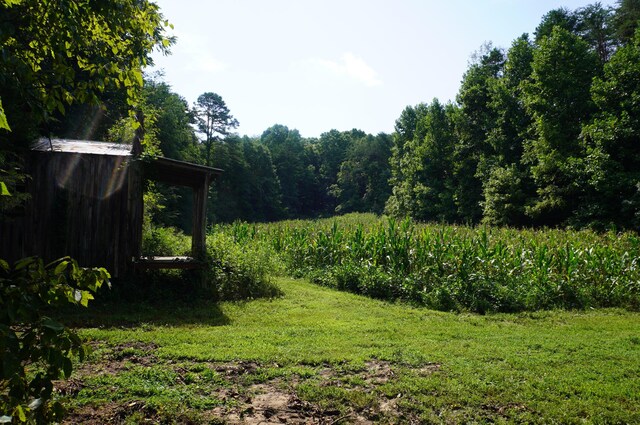 LOT17 Pleasant View Cemetary Rd, New Market, TN 37820 - photo 36
