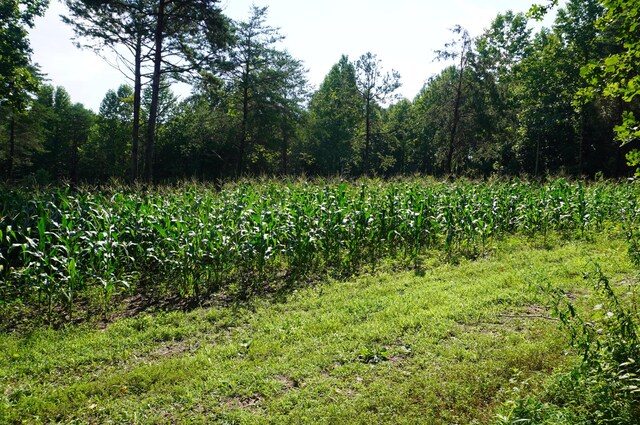 LOT17 Pleasant View Cemetary Rd, New Market, TN 37820 - photo 17