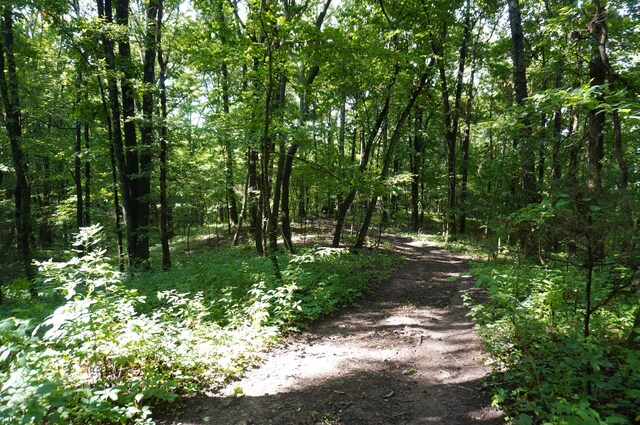 LOT17 Pleasant View Cemetary Rd, New Market, TN 37820 - photo 31