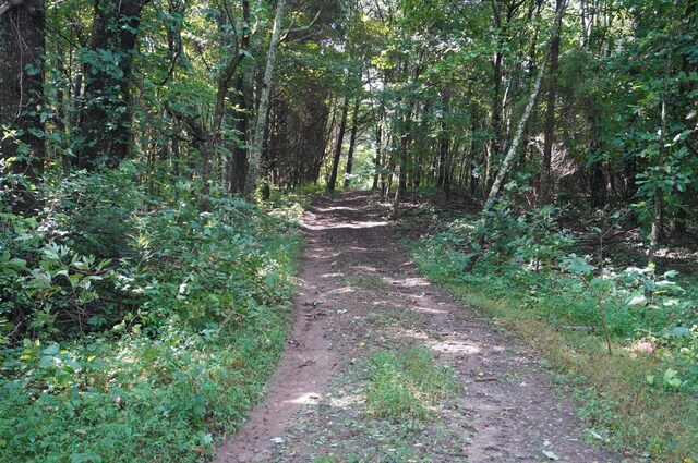 LOT17 Pleasant View Cemetary Rd, New Market, TN 37820 - photo 21