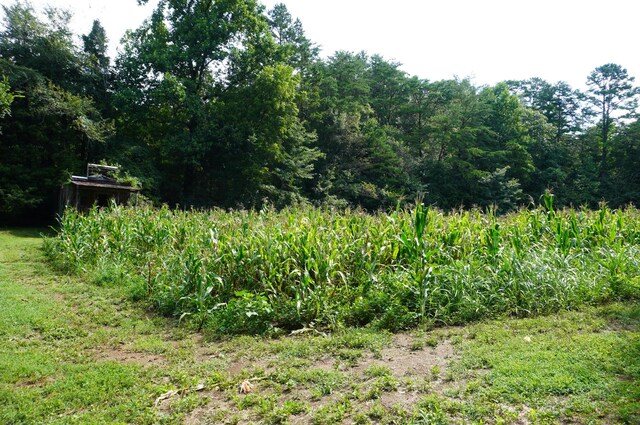 LOT17 Pleasant View Cemetary Rd, New Market, TN 37820 - photo 35