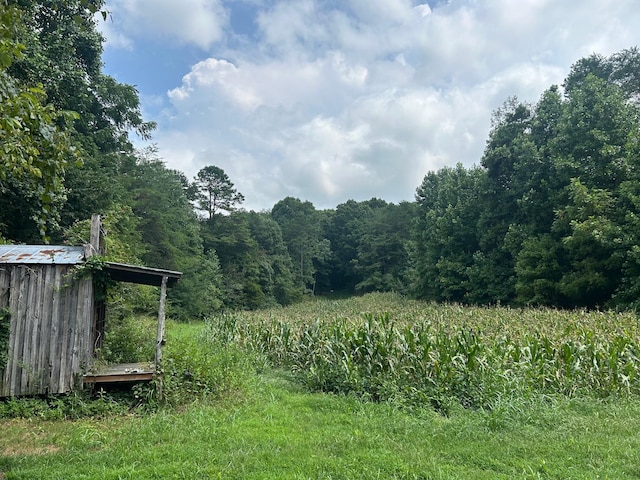 LOT17 Pleasant View Cemetary Rd, New Market, TN 37820 - photo 1
