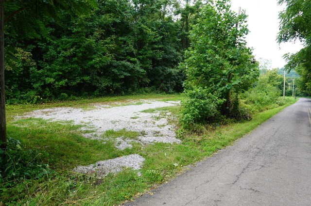 LOT17 Pleasant View Cemetary Rd, New Market, TN 37820 - photo 10