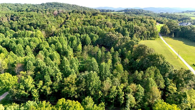 LOT17 Pleasant View Cemetary Rd, New Market, TN 37820 - photo 56