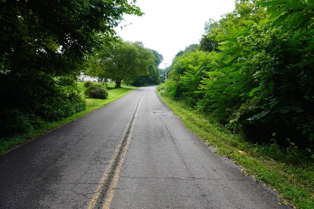 LOT17 Pleasant View Cemetary Rd, New Market, TN 37820 - photo 59