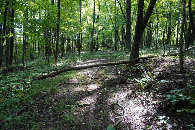LOT17 Pleasant View Cemetary Rd, New Market, TN 37820 - photo 39