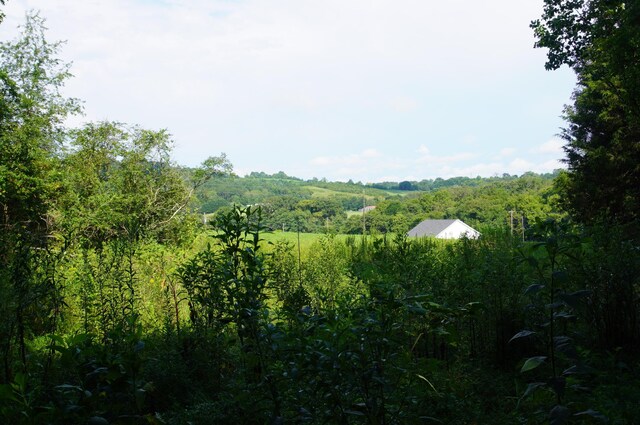 LOT17 Pleasant View Cemetary Rd, New Market, TN 37820 - photo 9