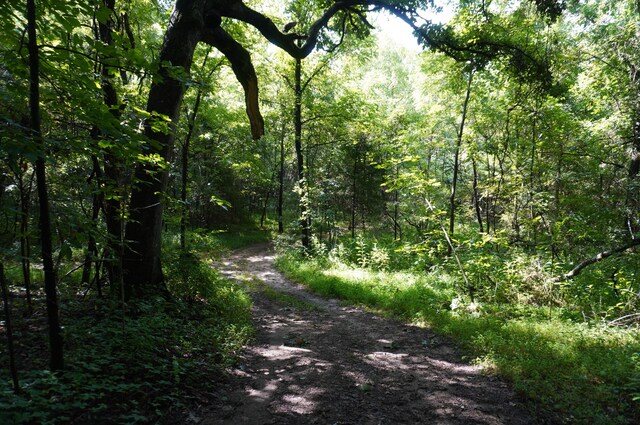 LOT17 Pleasant View Cemetary Rd, New Market, TN 37820 - photo 33