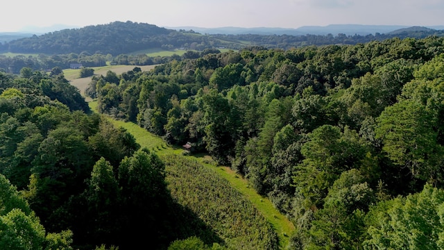 LOT17 Pleasant View Cemetary Rd, New Market, TN 37820 - photo 2