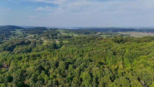 LOT17 Pleasant View Cemetary Rd, New Market, TN 37820 - photo 57