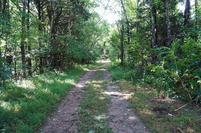LOT17 Pleasant View Cemetary Rd, New Market, TN 37820 - photo 23