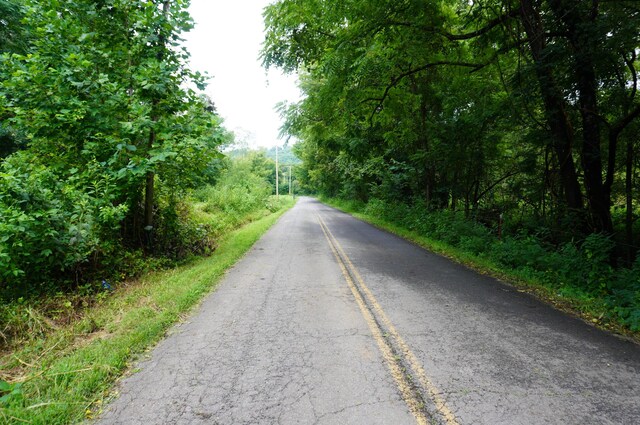 LOT17 Pleasant View Cemetary Rd, New Market, TN 37820 - photo 58