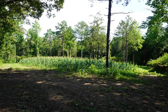 LOT17 Pleasant View Cemetary Rd, New Market, TN 37820 - photo 6