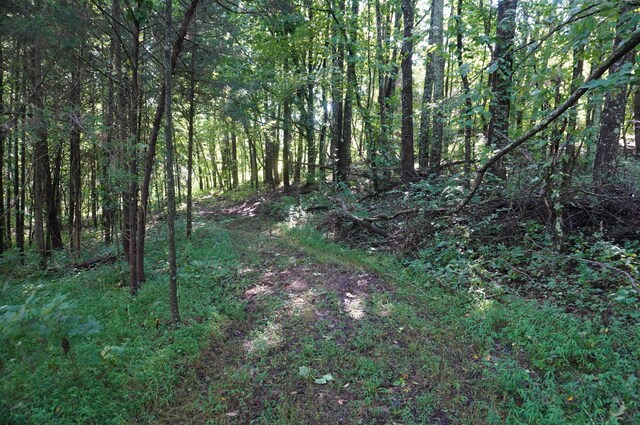 LOT17 Pleasant View Cemetary Rd, New Market, TN 37820 - photo 8