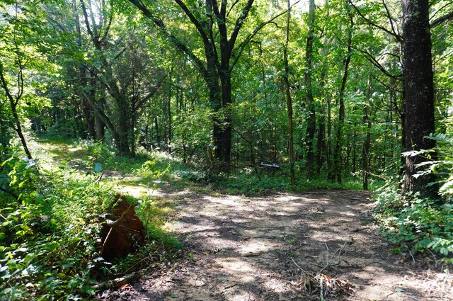LOT17 Pleasant View Cemetary Rd, New Market, TN 37820 - photo 28