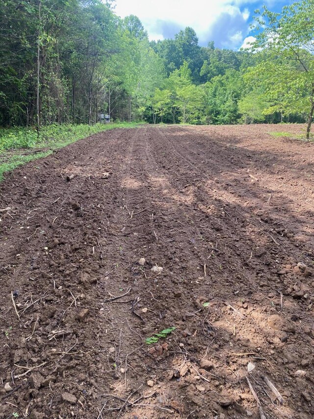 LOT17 Pleasant View Cemetary Rd, New Market, TN 37820 - photo 41