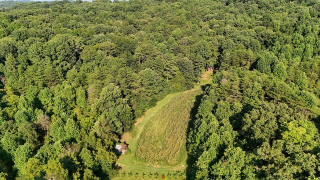 LOT17 Pleasant View Cemetary Rd, New Market, TN 37820 - photo 55