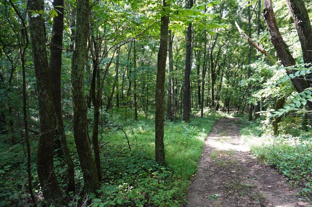 LOT17 Pleasant View Cemetary Rd, New Market, TN 37820 - photo 30