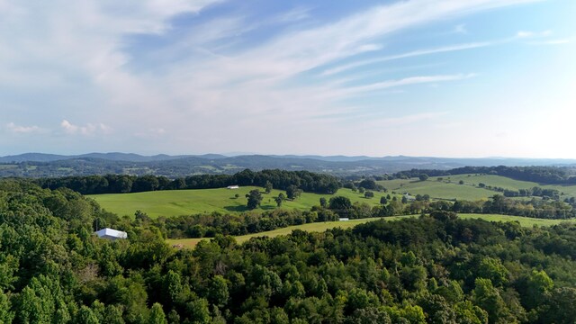LOT17 Pleasant View Cemetary Rd, New Market, TN 37820 - photo 3