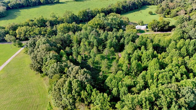 LOT17 Pleasant View Cemetary Rd, New Market, TN 37820 - photo 4