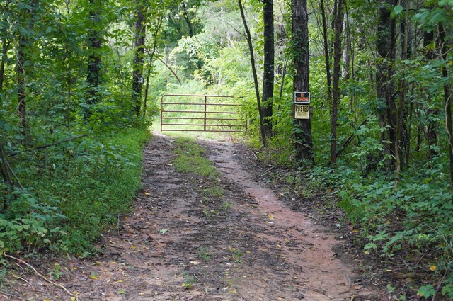 LOT17 Pleasant View Cemetary Rd, New Market, TN 37820 - photo 11