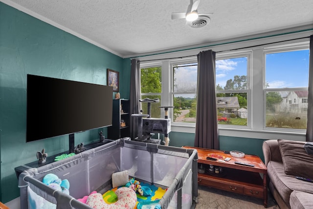 323 Pauline Ave, Morristown, TN 37813 - playroom with a textured ceiling and ornamental molding