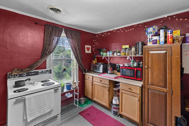 323 Pauline Ave, Morristown, TN 37813 - kitchen with electric range, a textured ceiling, open shelves, and light countertops