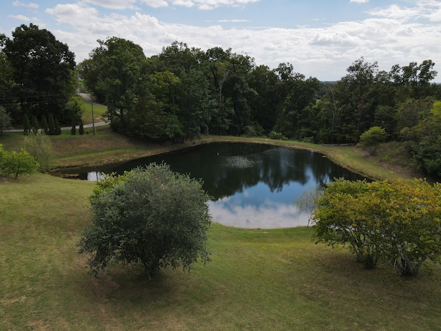 view of water feature