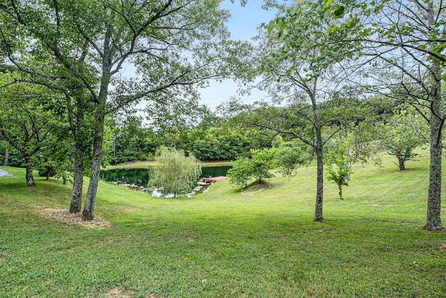 view of yard featuring a water view