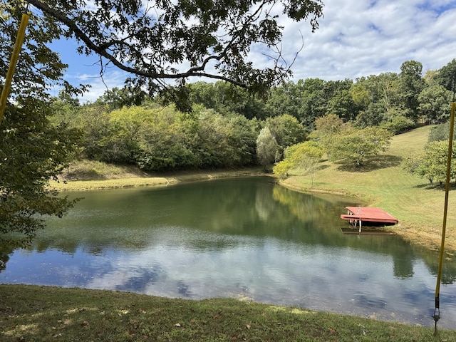 property view of water with a boat dock