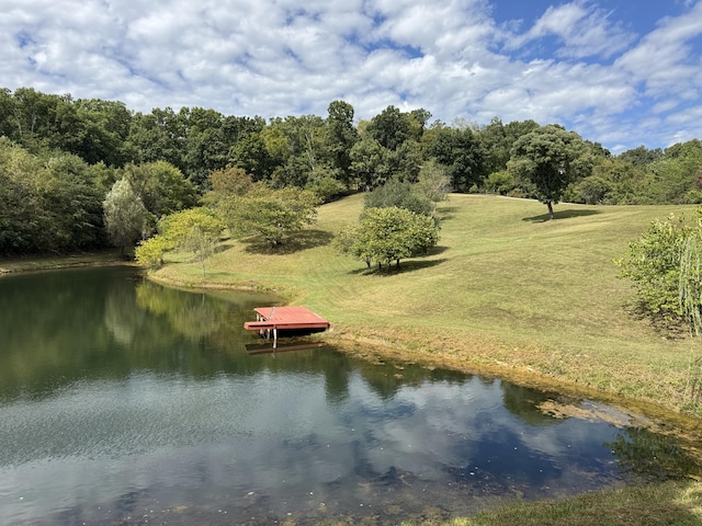 view of water feature