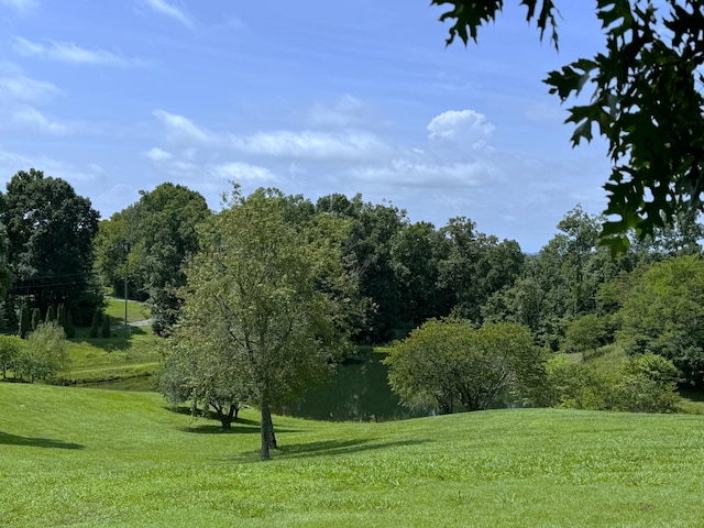 view of property's community featuring a lawn