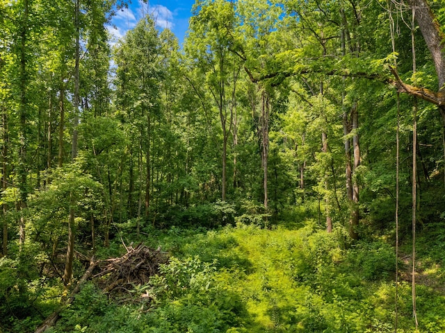 000 Long Creek Rd, Del Rio, TN 37727