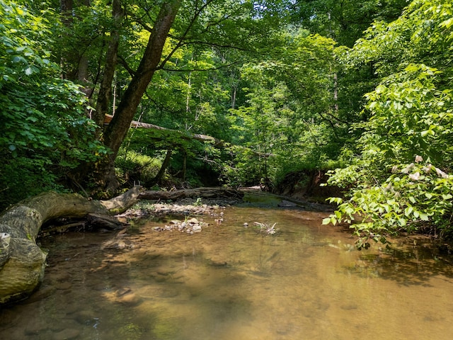 000 Long Creek Rd, Del Rio, TN 37727