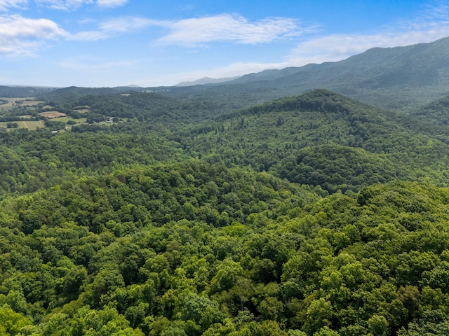 000 Long Creek Rd, Del Rio, TN 37727