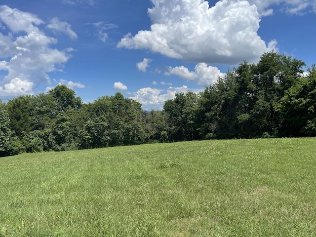 422 Beechwood Cir, Morristown, TN 37814 - photo 1
