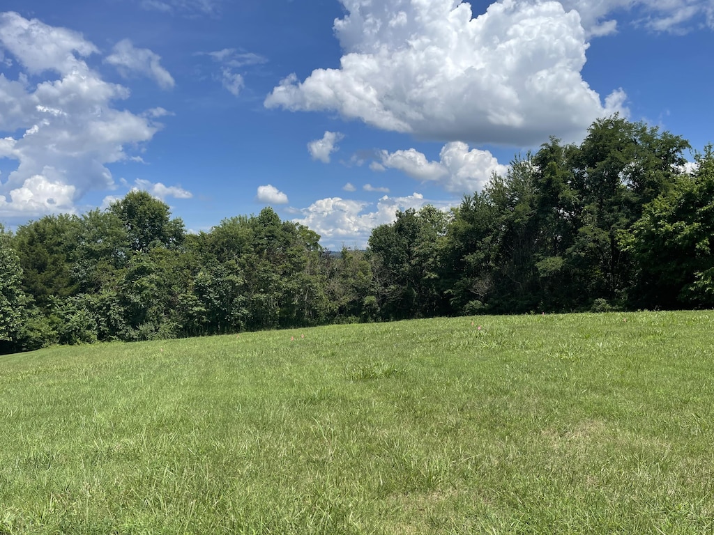 422 Beechwood Cir, Morristown, TN 37814 - photo 3