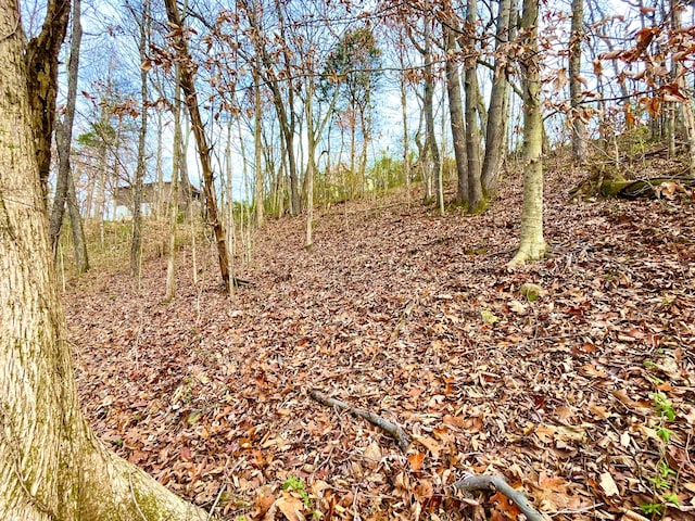 view of landscape