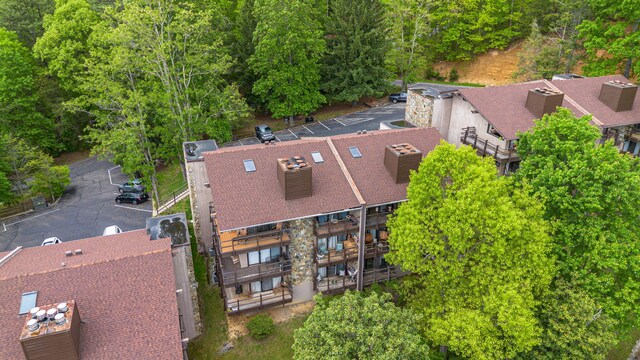 bird's eye view