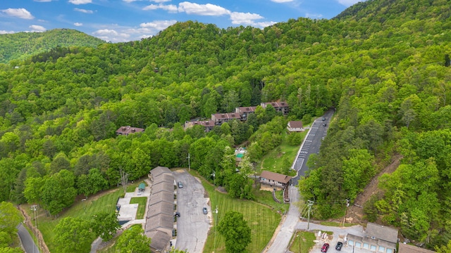 view of property location featuring a heavily wooded area