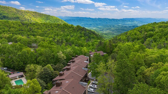 bird's eye view of a forest and a mountainous background