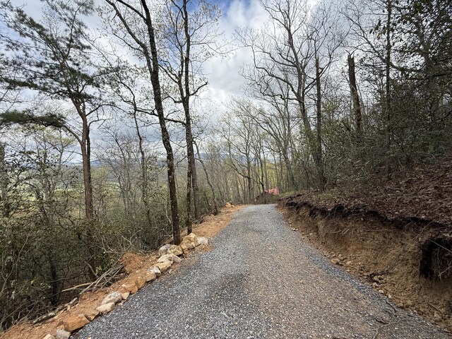 3.93ACRES Green Forest Rd, Cosby, TN 37722 - photo 9
