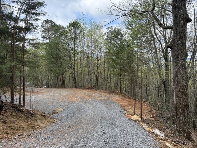 3.93ACRES Green Forest Rd, Cosby, TN 37722 - photo 20