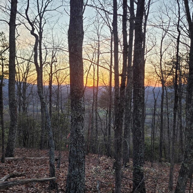 3.93ACRES Green Forest Rd, Cosby, TN 37722 - photo 23