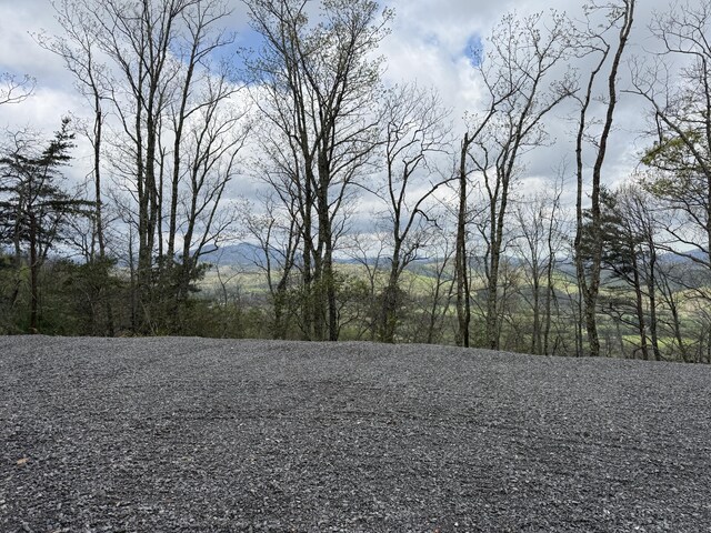 3.93ACRES Green Forest Rd, Cosby, TN 37722 - photo 12